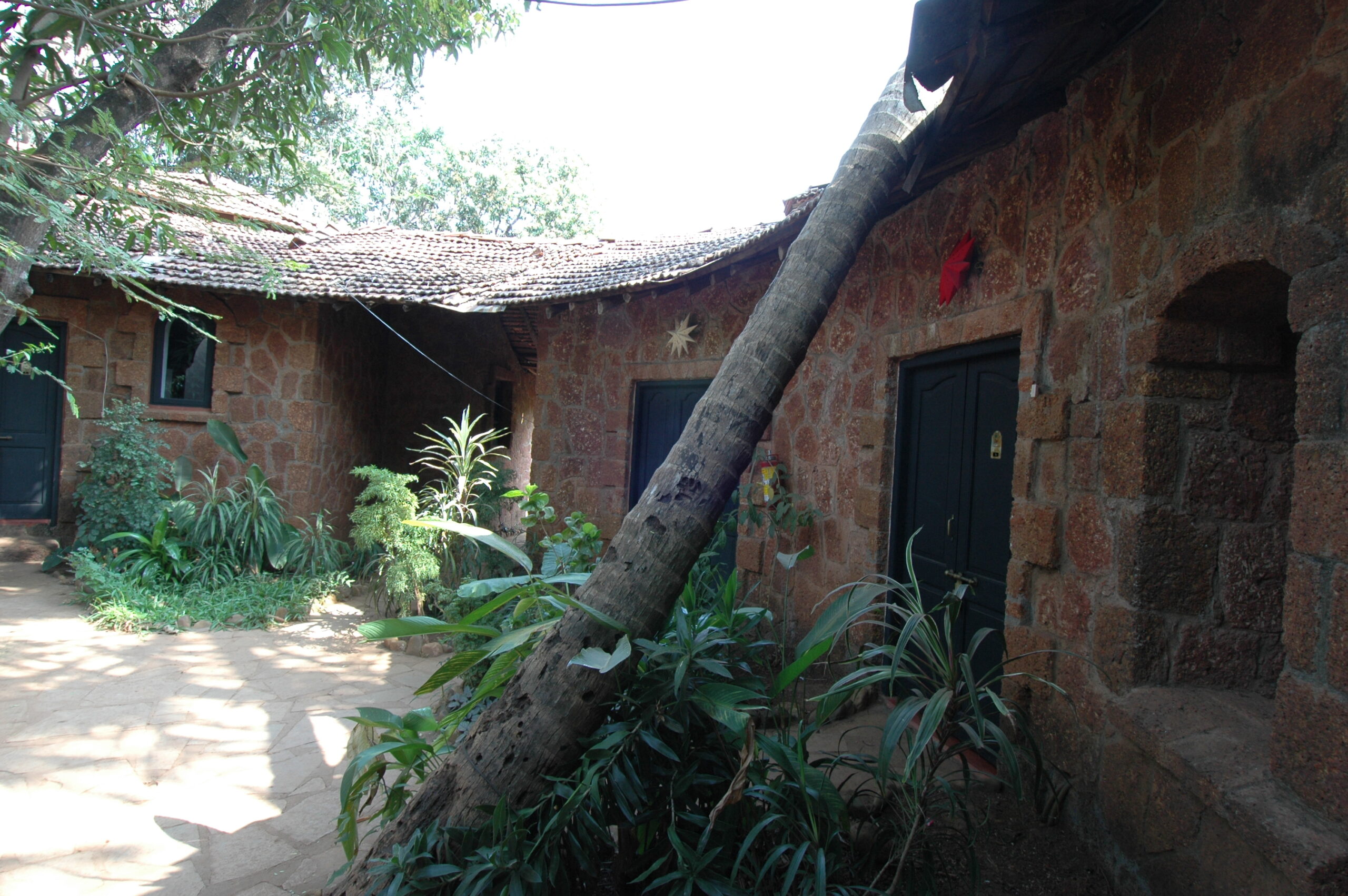Coconut trees around cottages, Laguna Anjuna