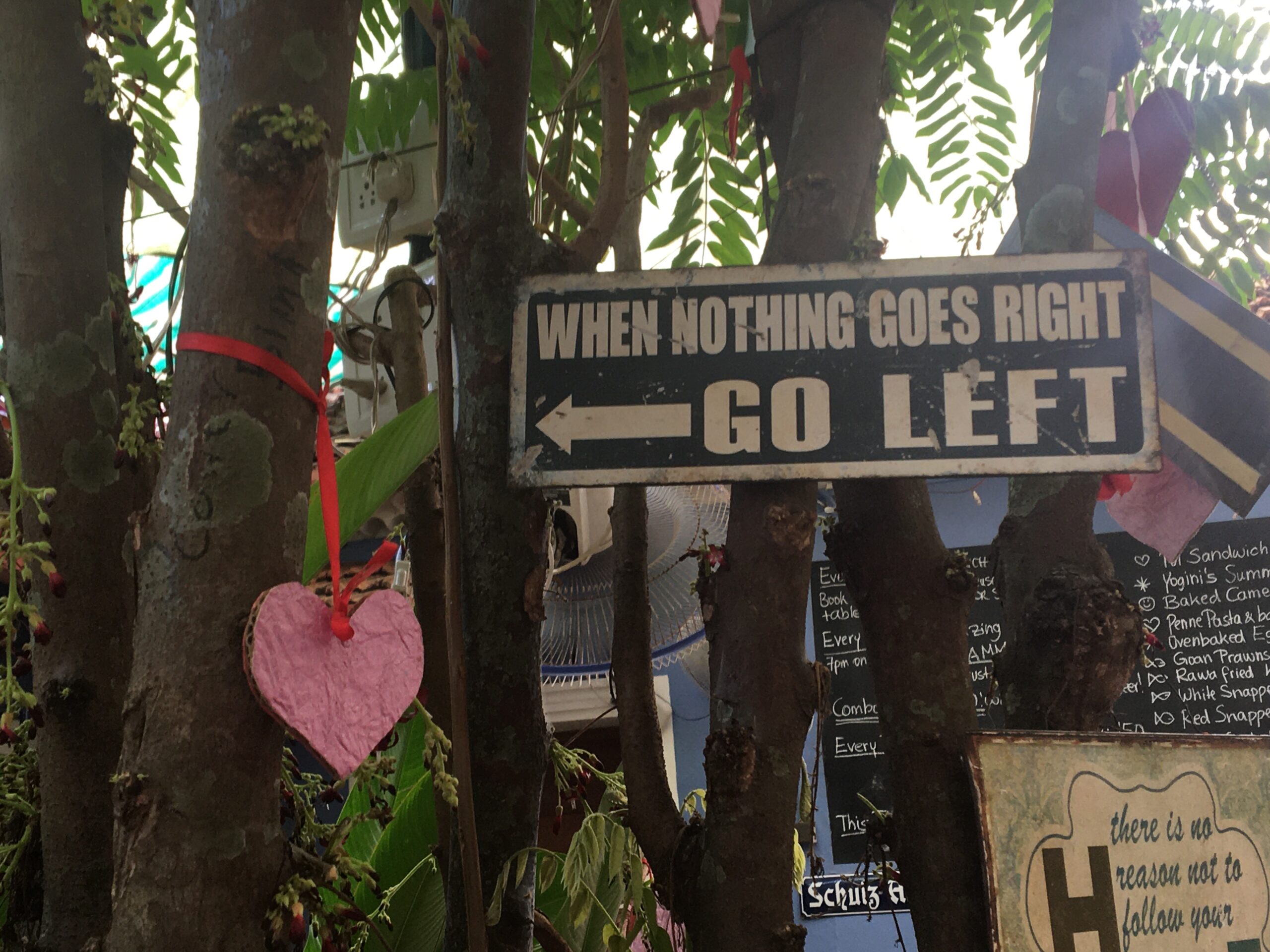 Local Philosopher, Laguna Anjuna